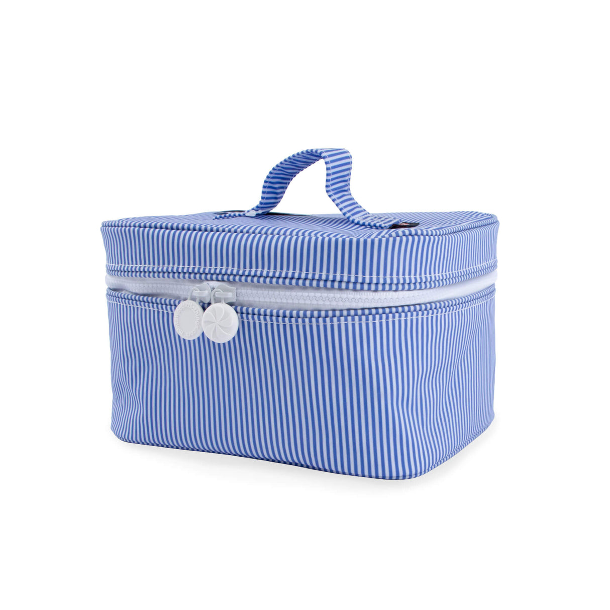 Glossy Wipeable Train Case