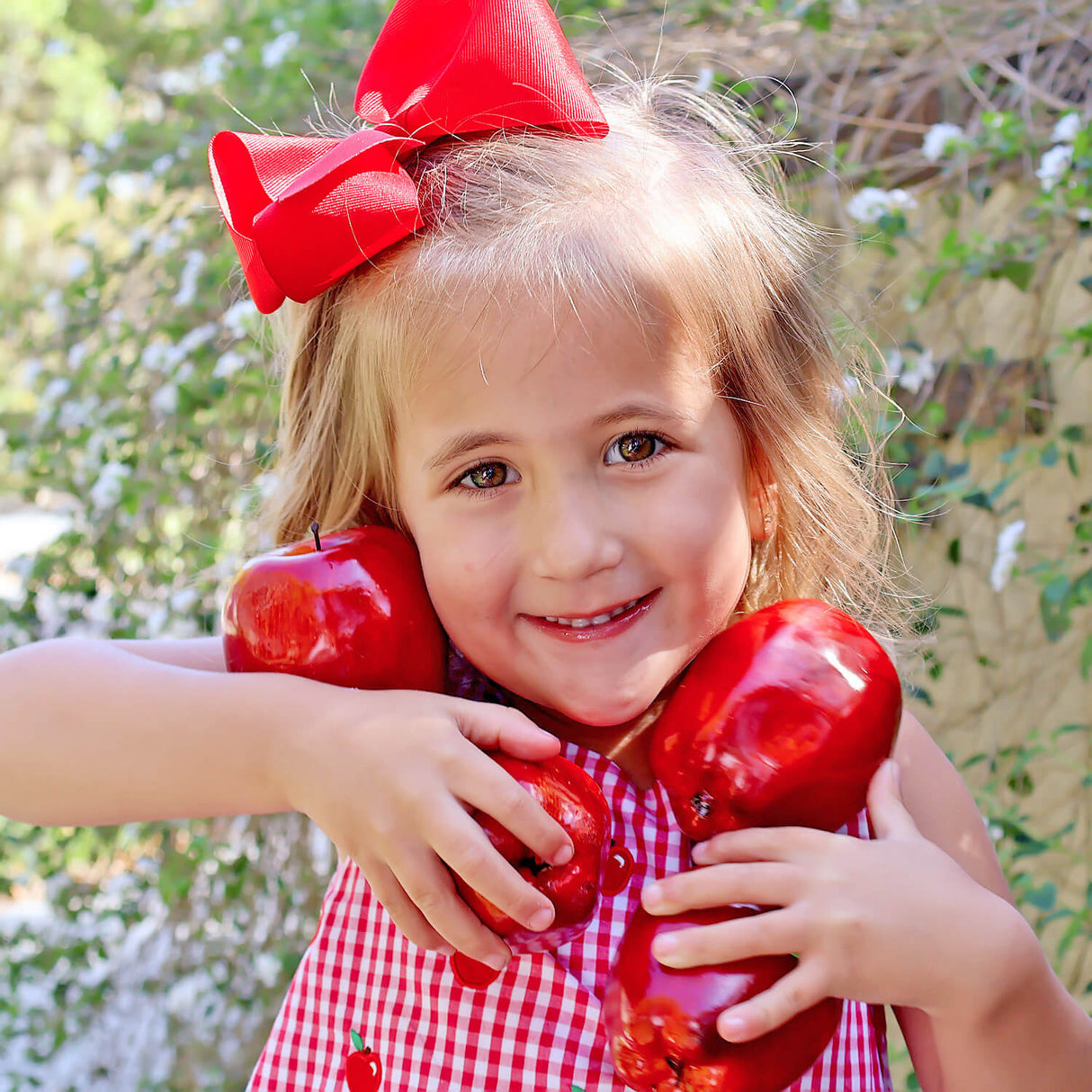 Tiny Apples Red Gingham Eleanor Dress
