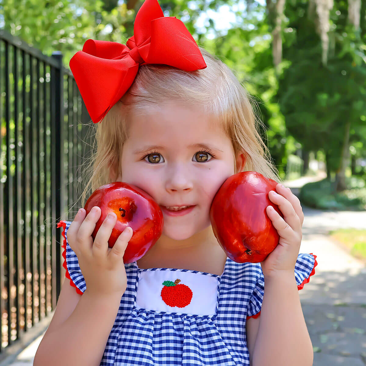 Apple French Knot Navy Gingham Short Set