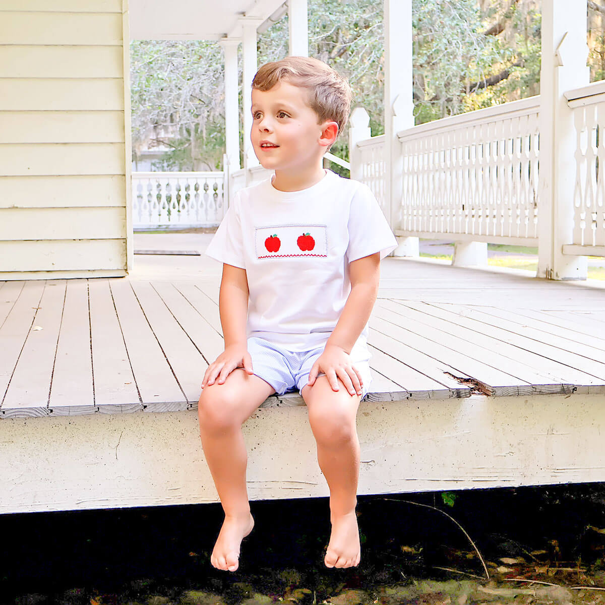 Apple Smocked Blue Gingham Short Set