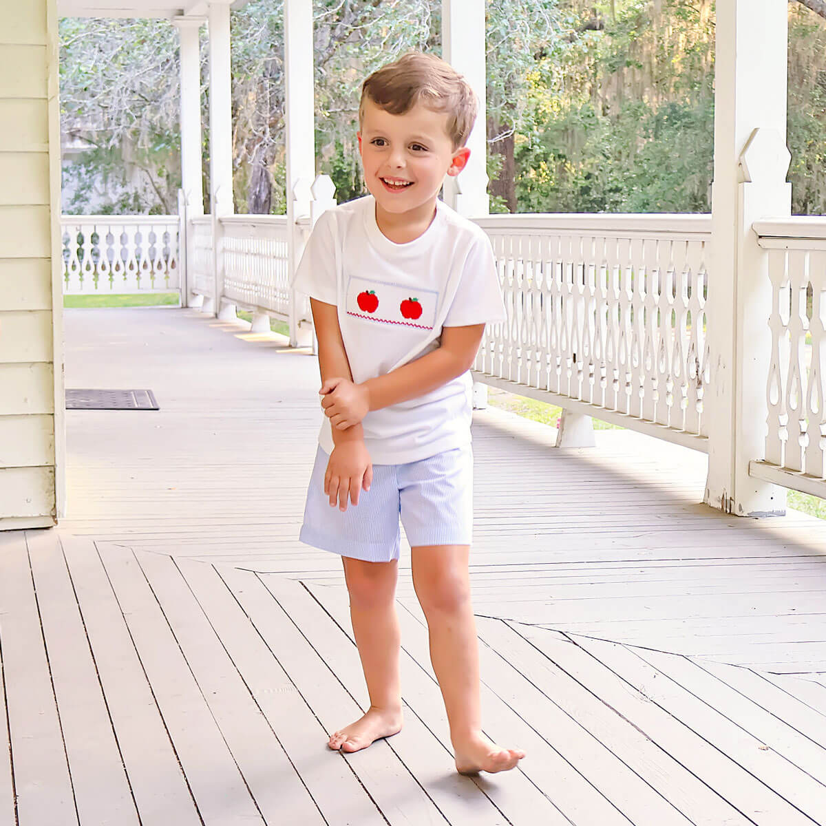 Apple Smocked Blue Gingham Short Set