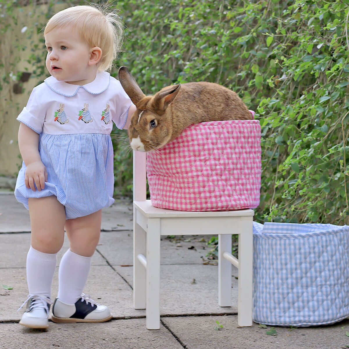 Storybook Rabbit Blue Gingham Collared Bubble