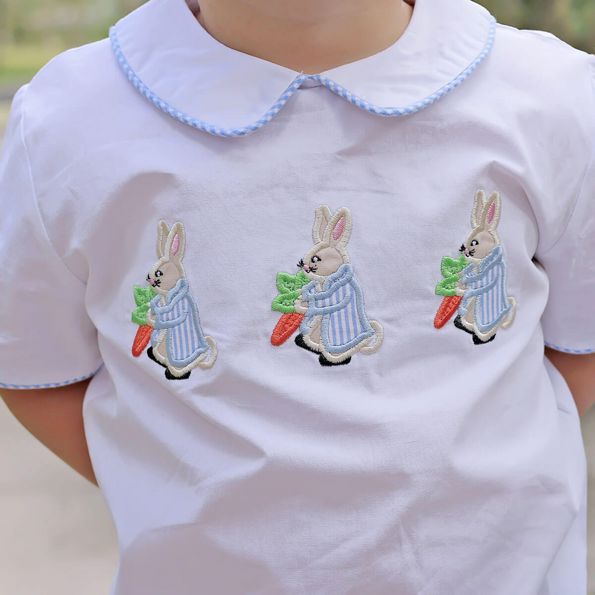 Storybook Rabbit Blue Gingham Collared Short Set