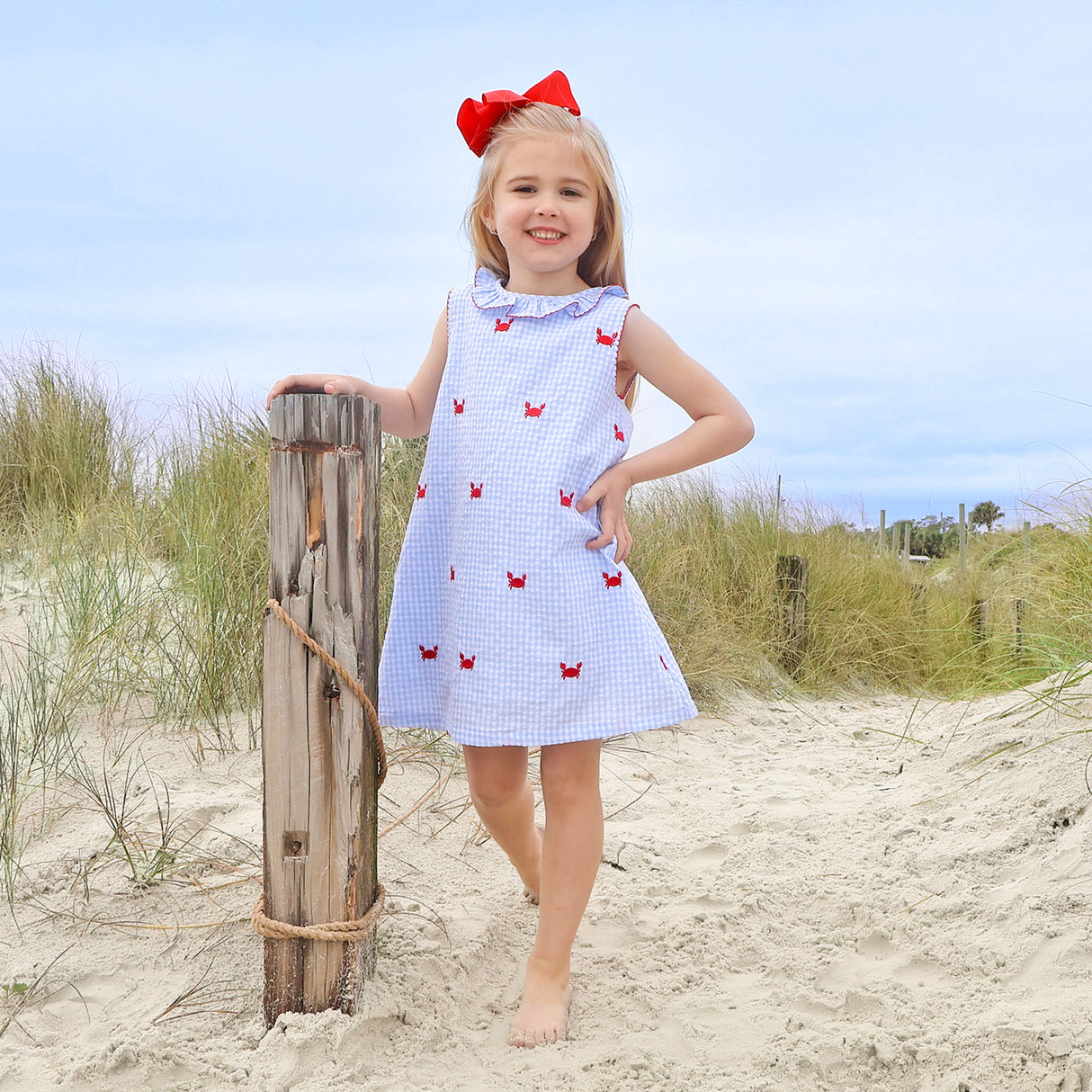 Crab Schiffli Blue Gingham Ruffle Collared Dress