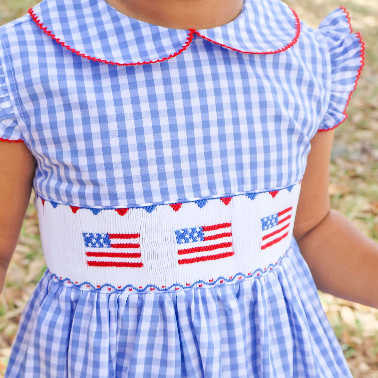 Raise the Flag Blue Gingham Smocked Collared Dress