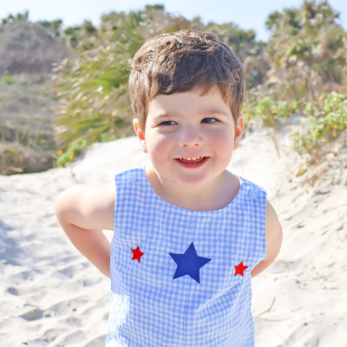 Star Spangled Light Blue Gingham Jon Jon
