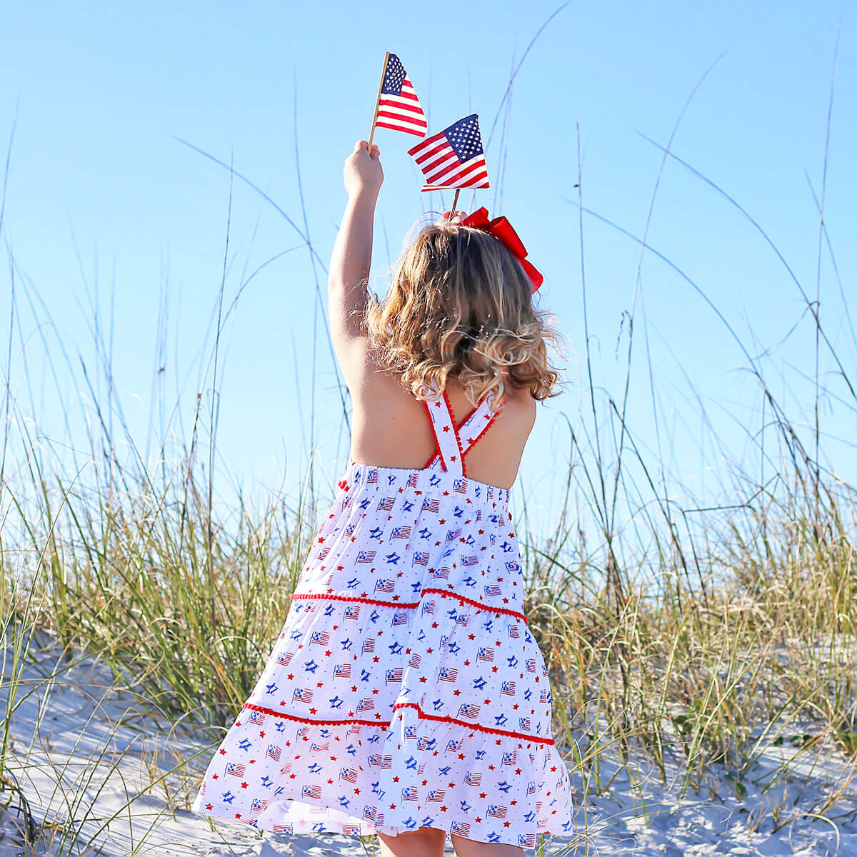 Flag Print Callie Dress