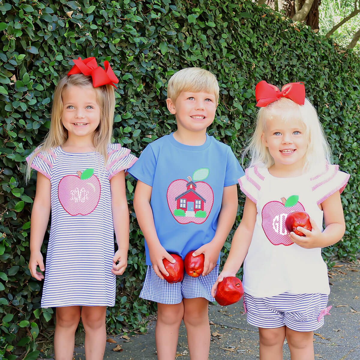 Good Apple Blue Gingham Short Set