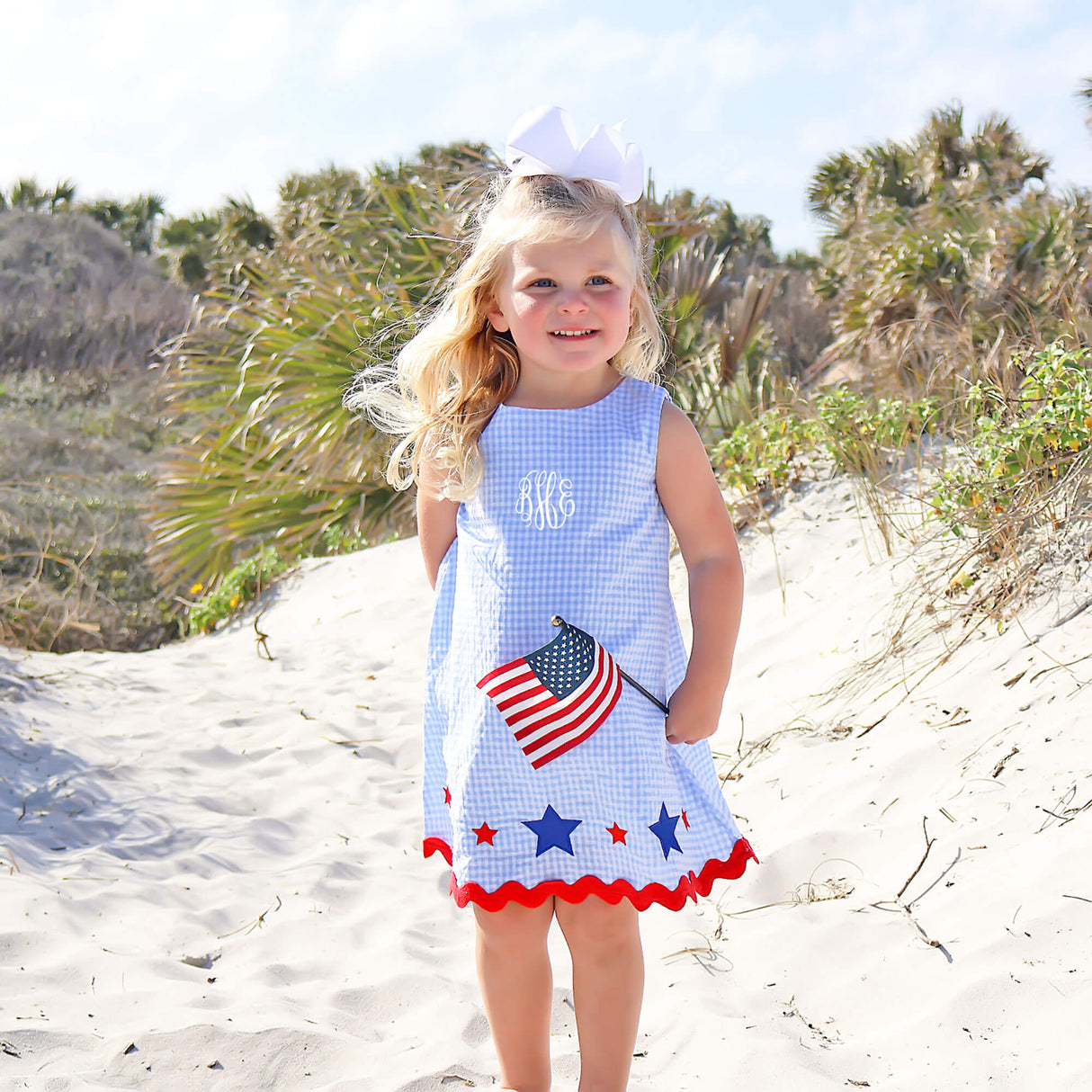 Star Spangled Light Blue Gingham Eleanor Dress