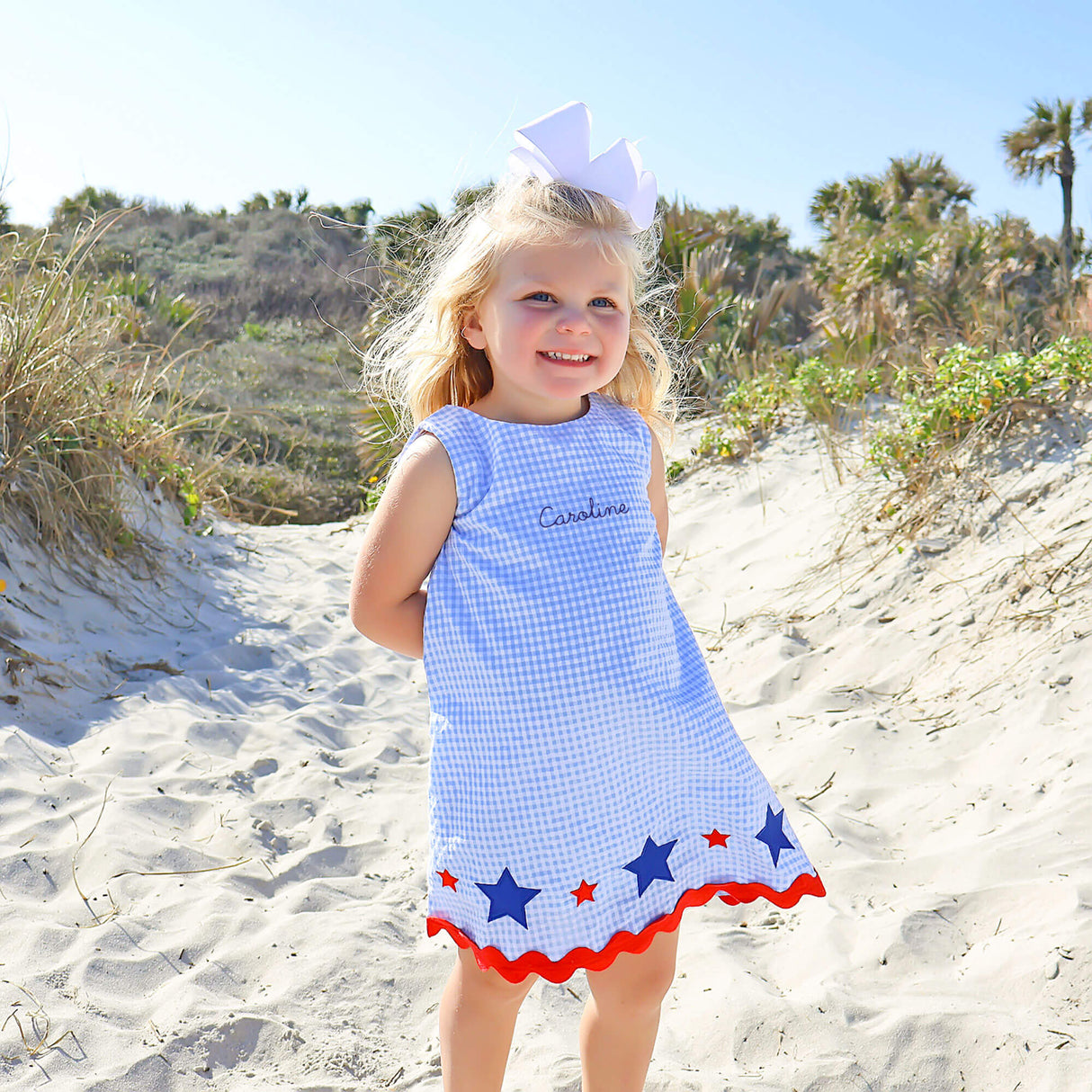 Star Spangled Light Blue Gingham Eleanor Dress