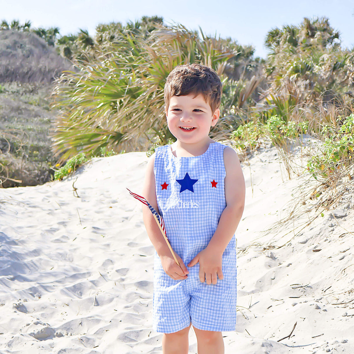 Star Spangled Light Blue Gingham Jon Jon