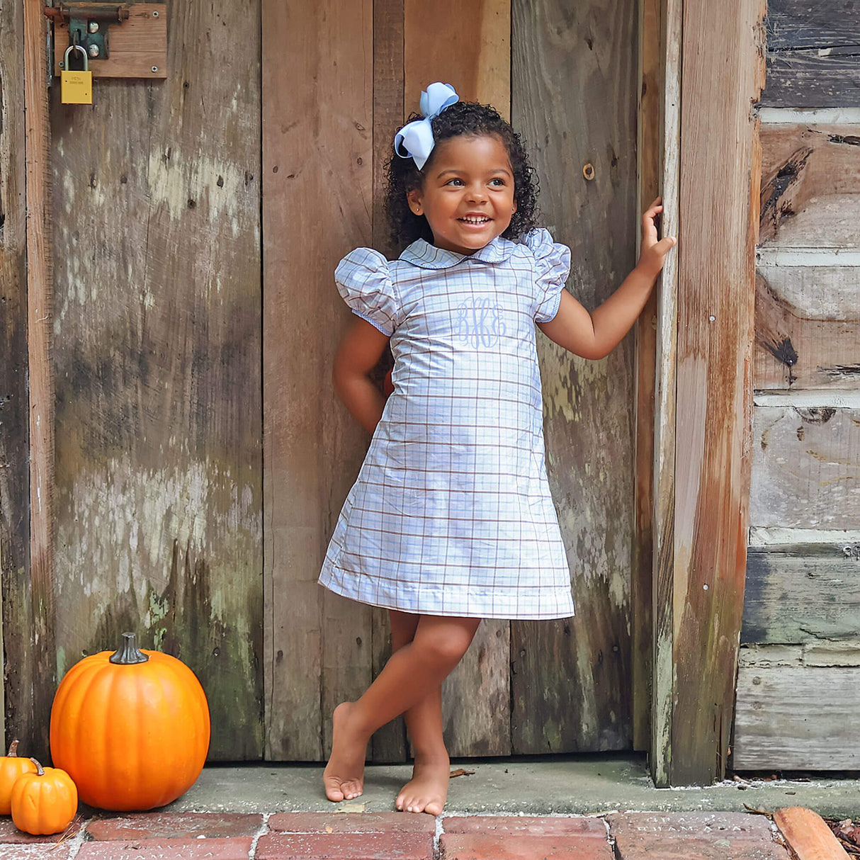Blue & Tan Plaid Sally Dress