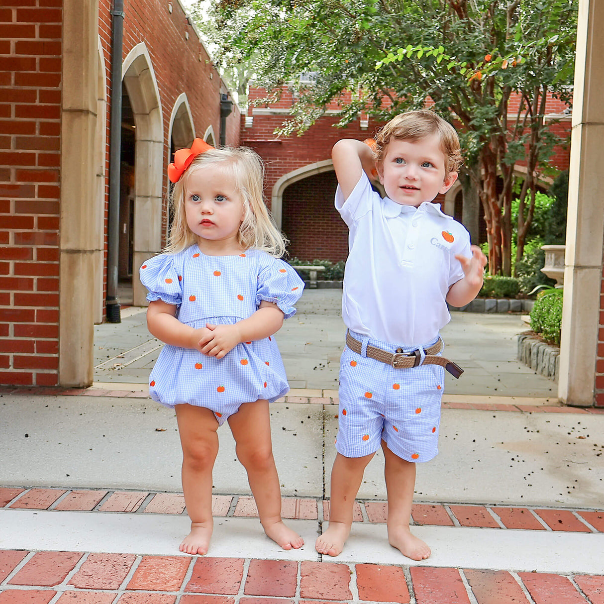 Pumpkin Schiffli Light Blue Gingham Standard Shorts