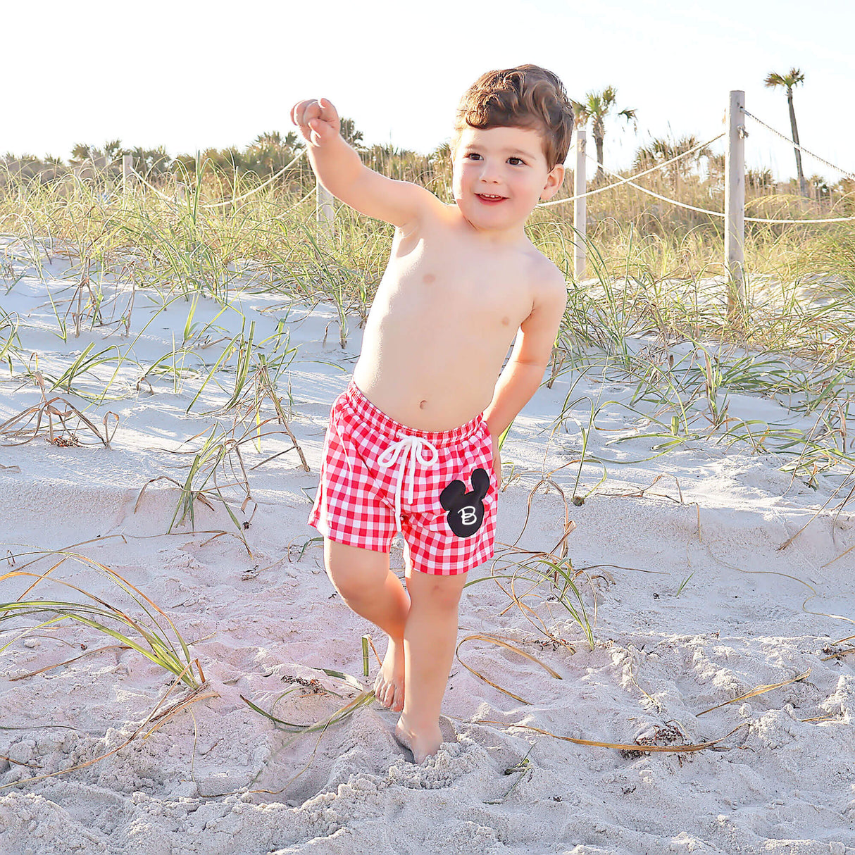 Mouse Ears Red Gingham Swim Trunks
