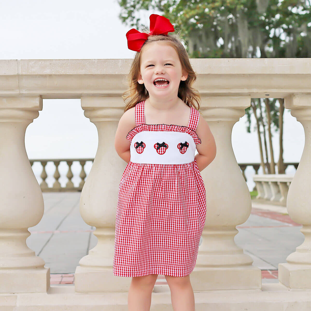 Mouse Ears Red Gingham Cara Dress