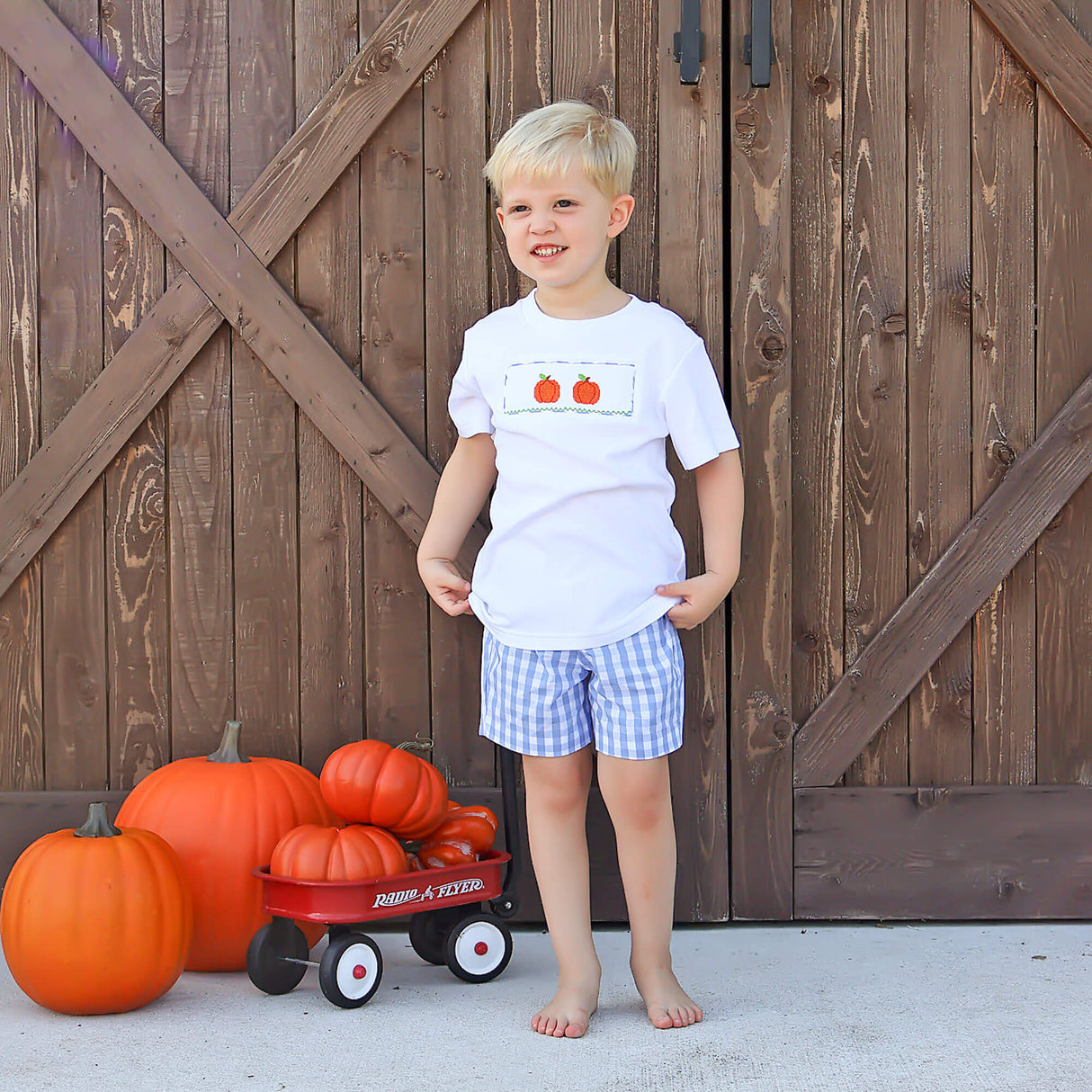 Pumpkin Smocked Light Blue Check Short Set
