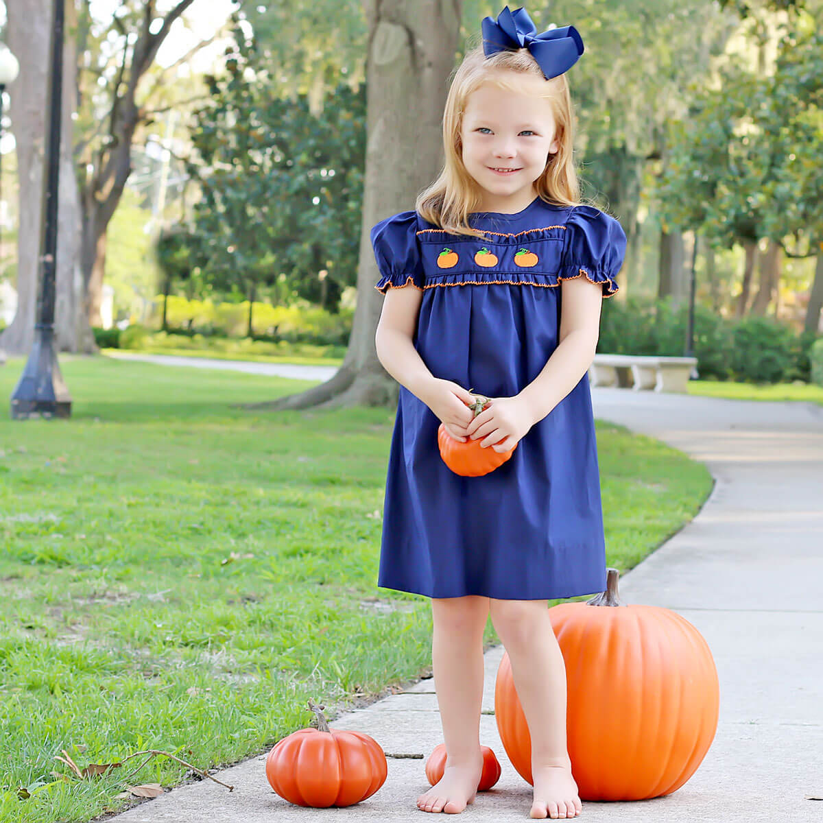 Pumpkin Please Embroidered Navy Dress