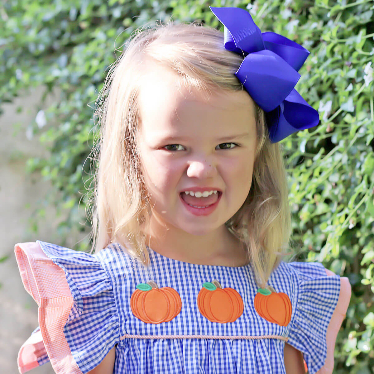 Pumpkin Picking Royal Blue Gingham Maeve Short Set