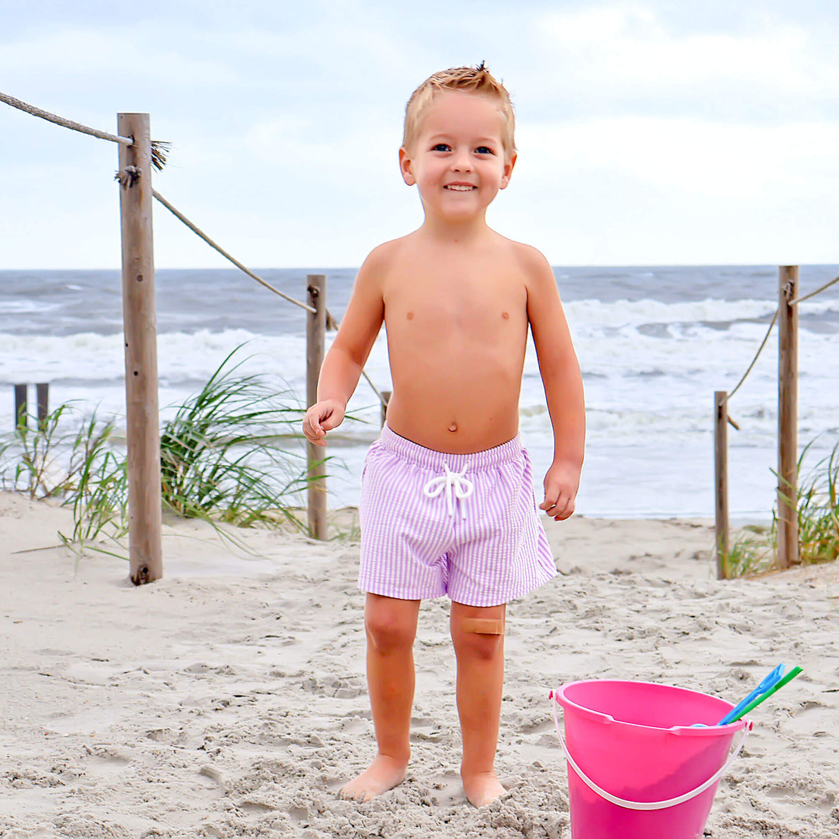 Santorini Stripe Swim Trunks Purple