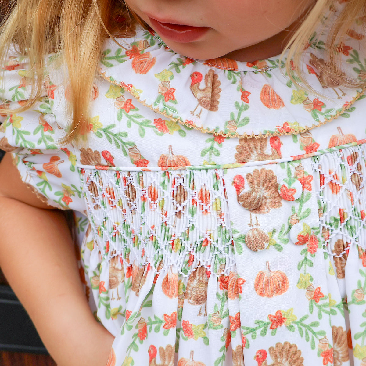 Wild Turkey Smocked Beth Dress
