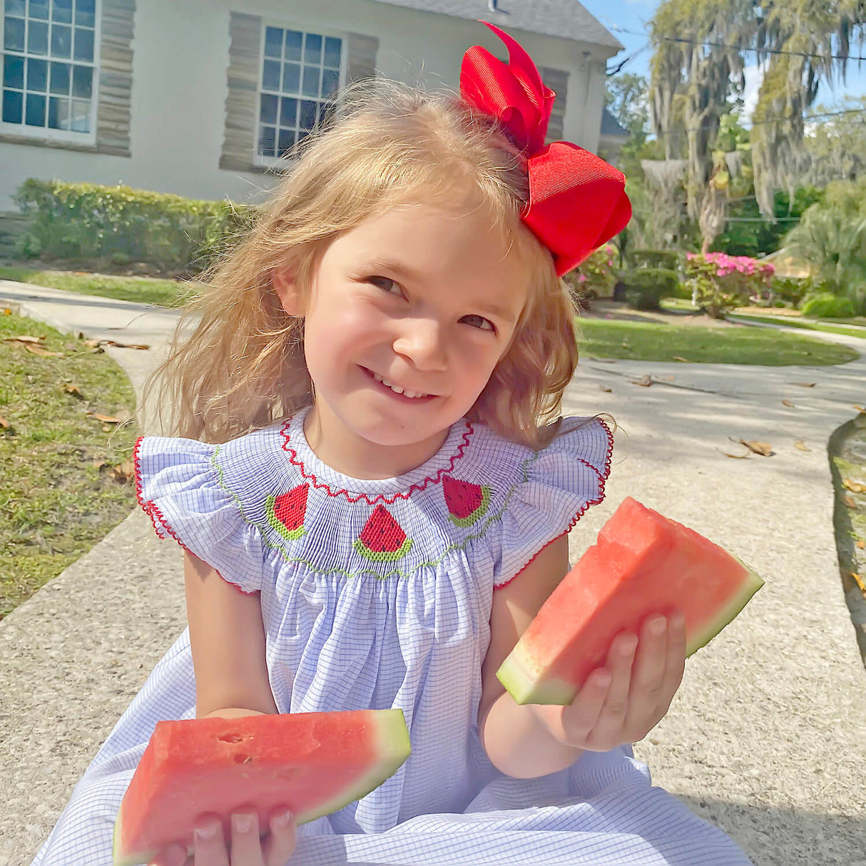 Watermelon Blue Windowpane Smocked Angel Sleeve Dress