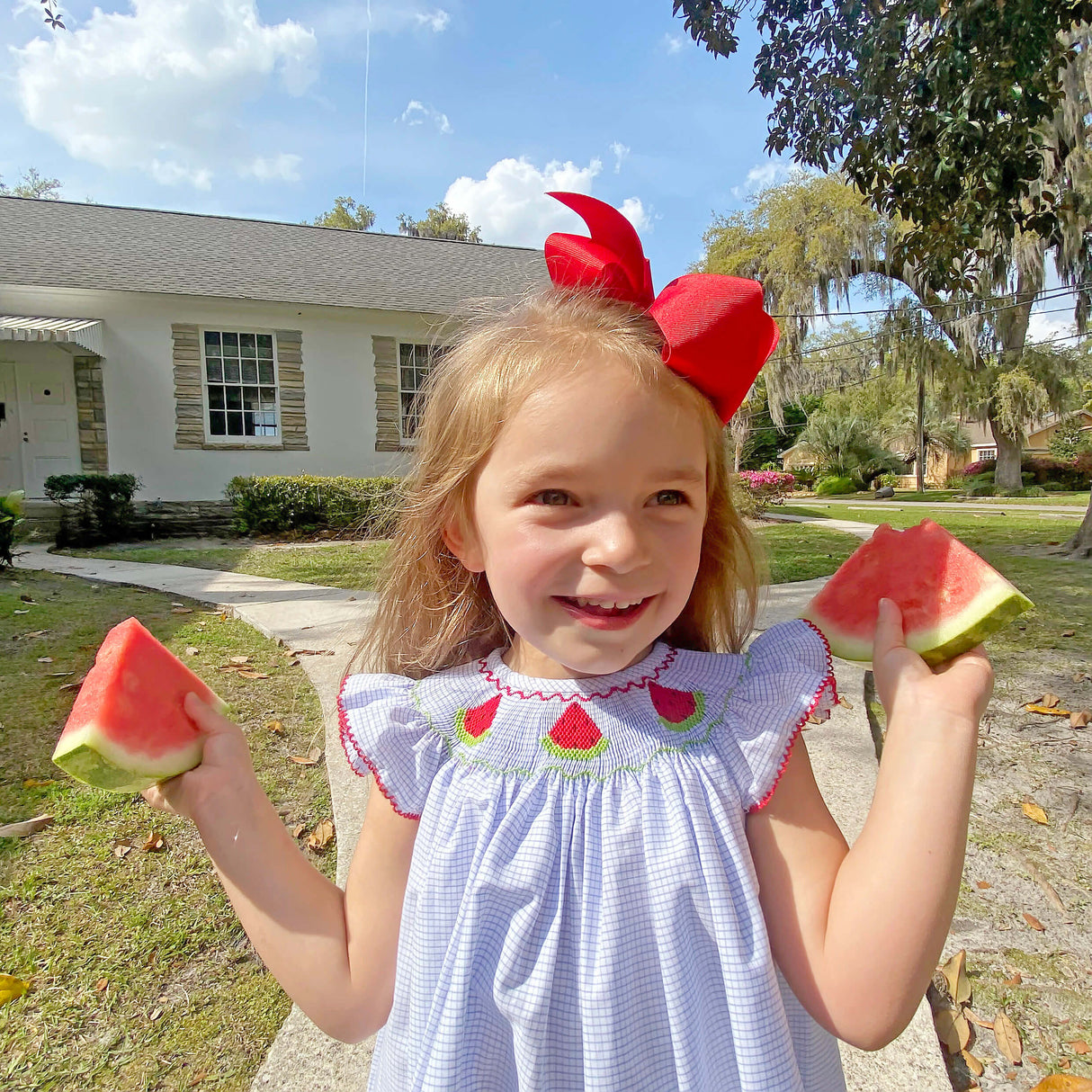 Watermelon Blue Windowpane Smocked Angel Sleeve Dress