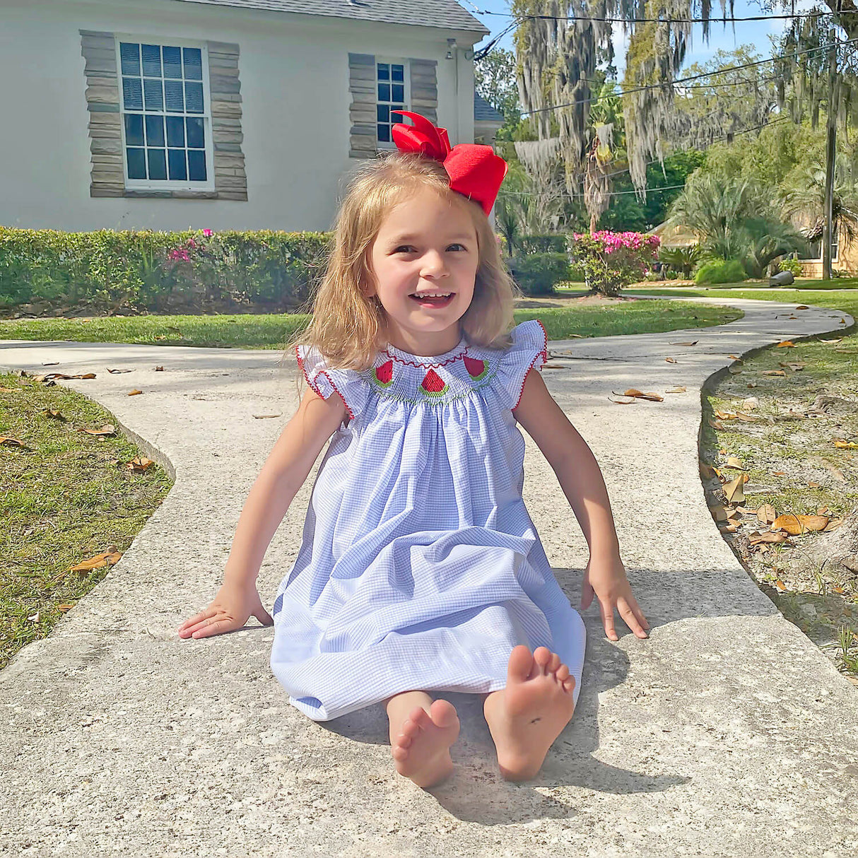 Watermelon Blue Windowpane Smocked Angel Sleeve Dress