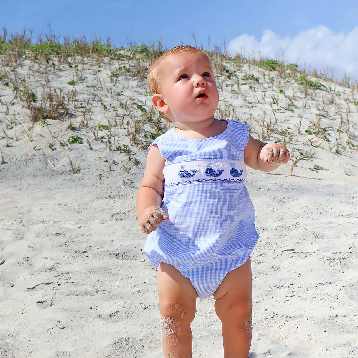 Aquatic Whale Blue Gingham Smocked Sun Bubble