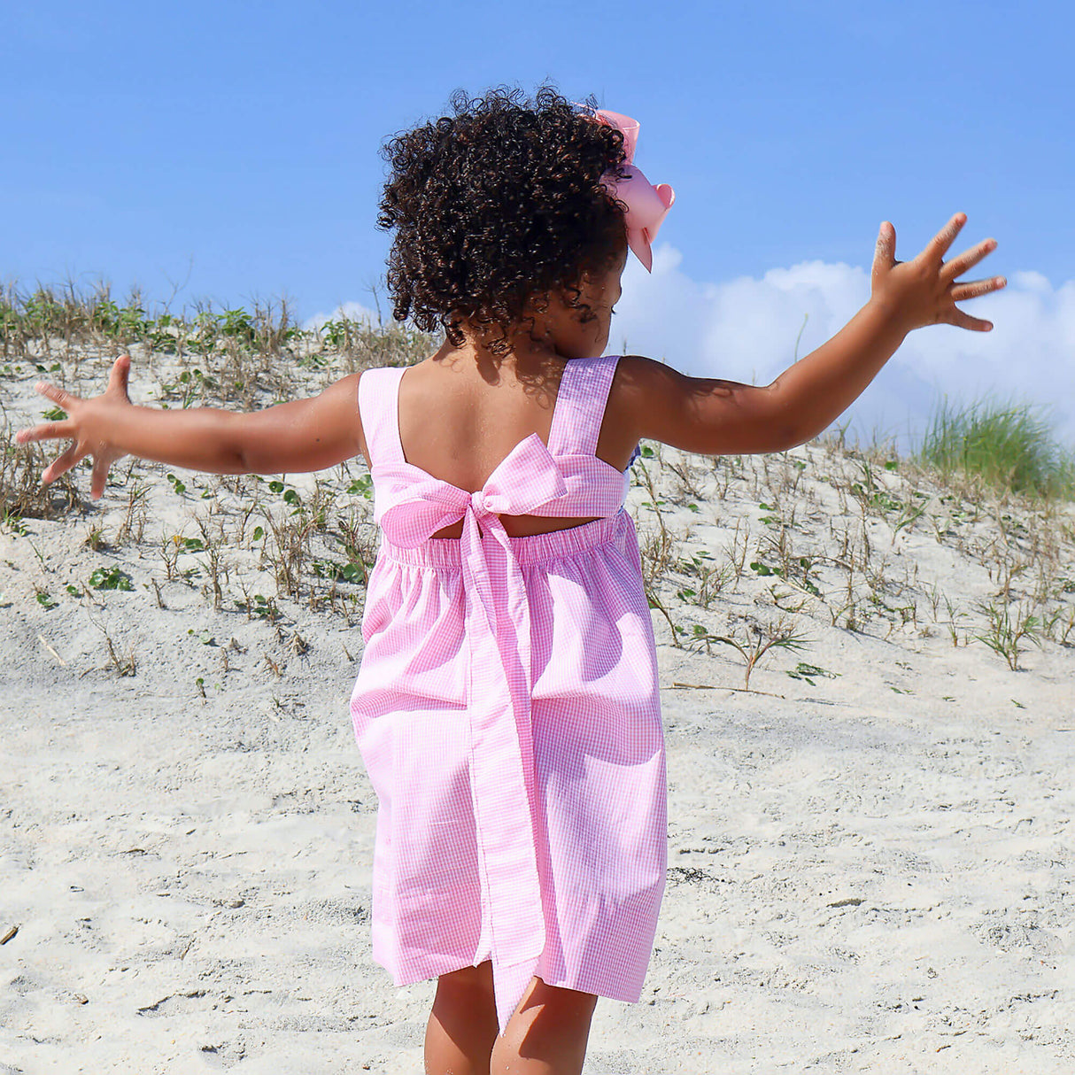 Aquatic Whale Pink Gingham Smocked Cara Dress