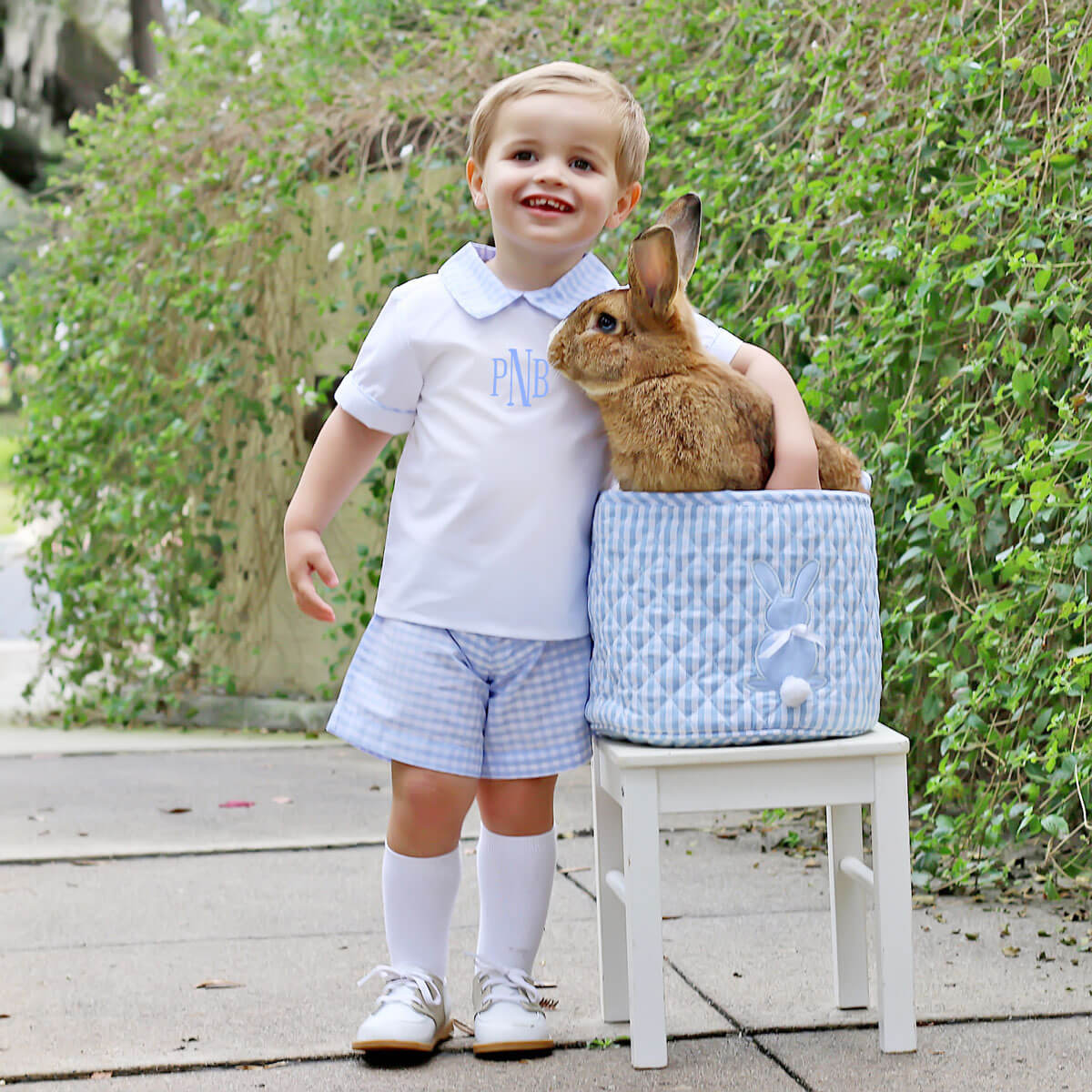 Light Blue Check Collared Short Set