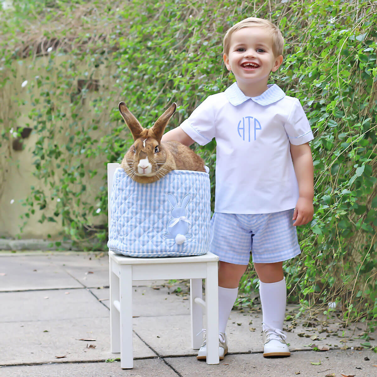 Light Blue Check Collared Short Set