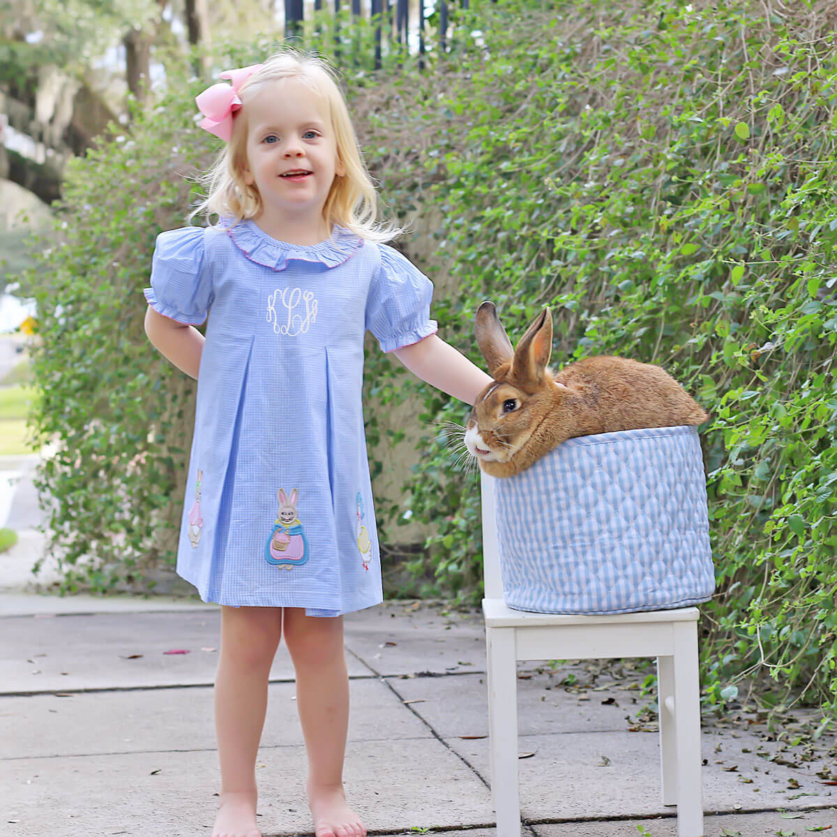 Storybook Rabbit Blue Gingham Chloe Dress