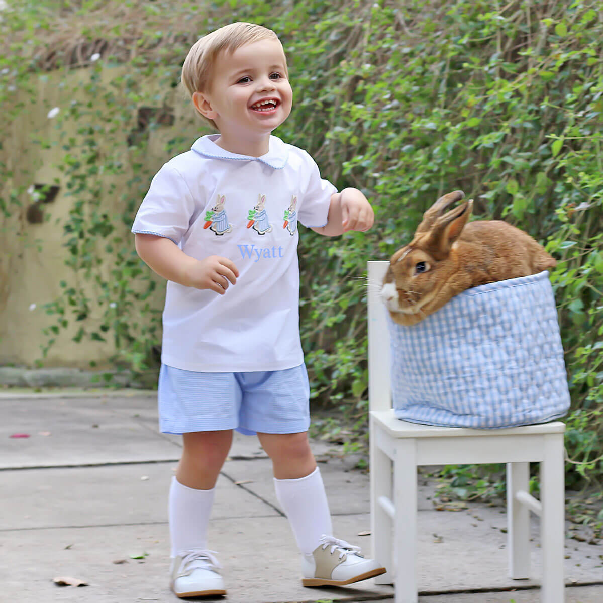 Storybook Rabbit Blue Gingham Collared Short Set