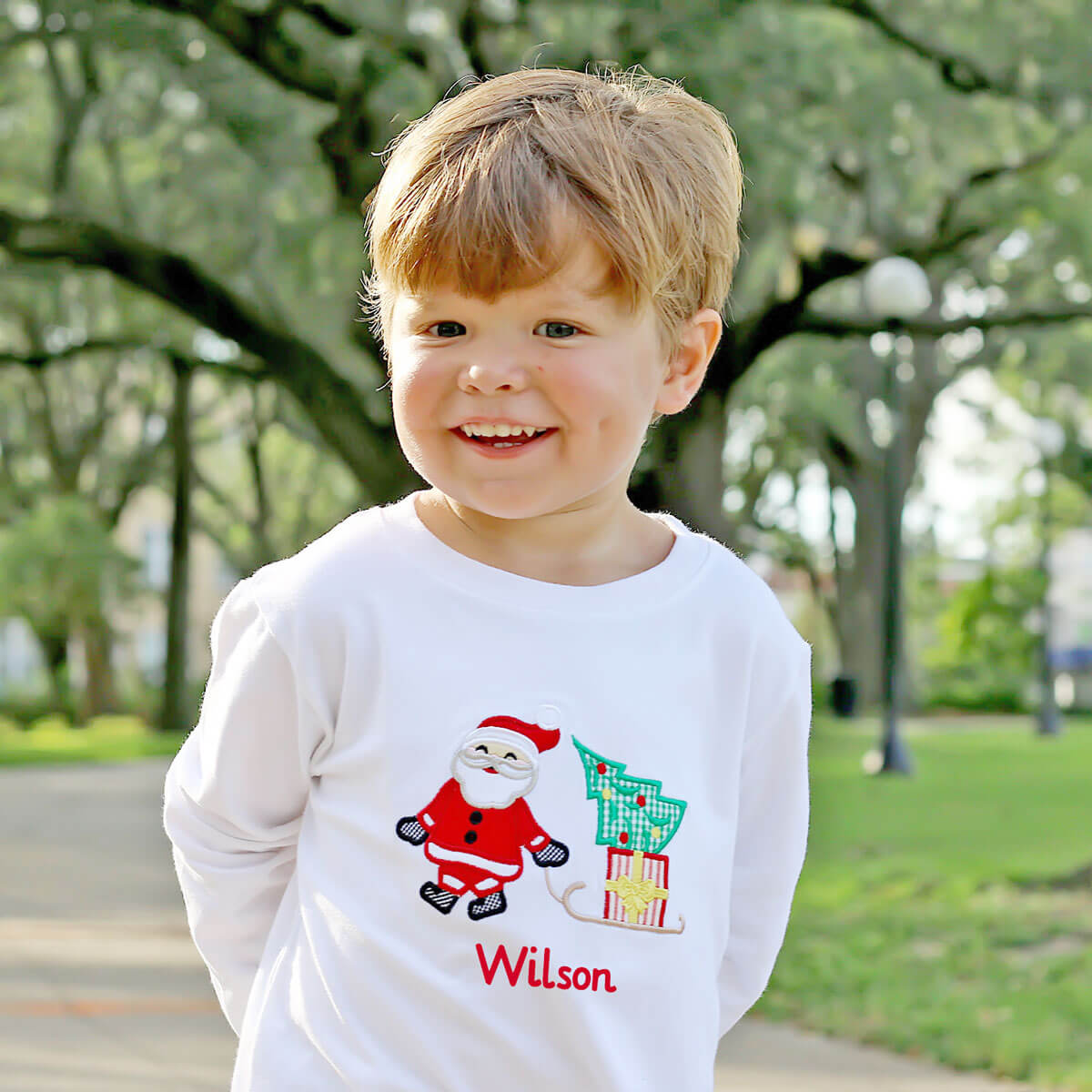 Santa's Sleigh Long Sleeve Shirt