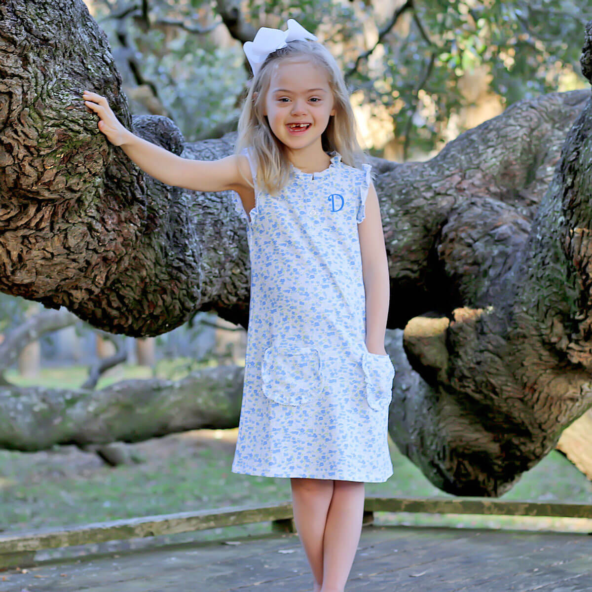 Blue Floral Nicole Dress