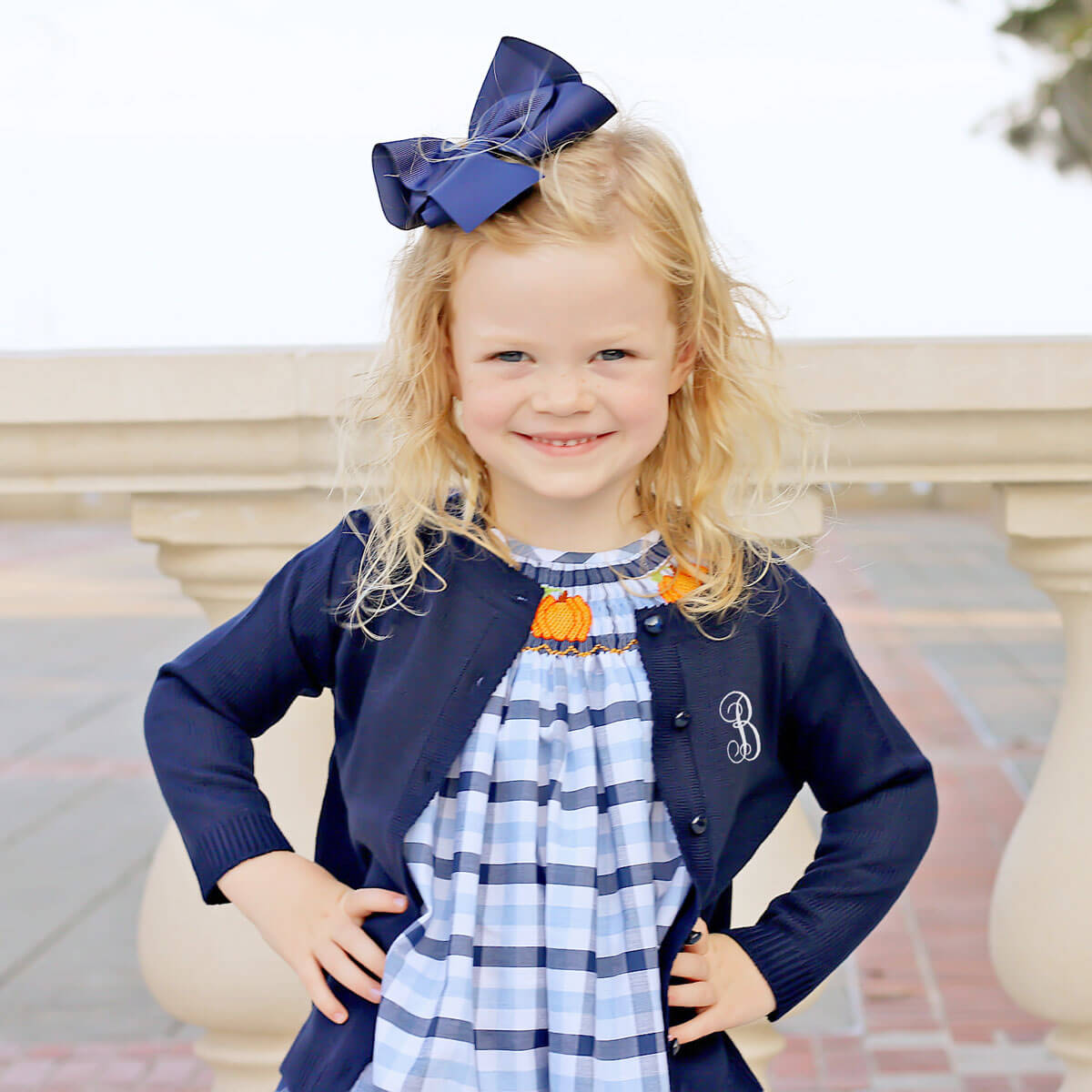 Button Up Sweater Navy