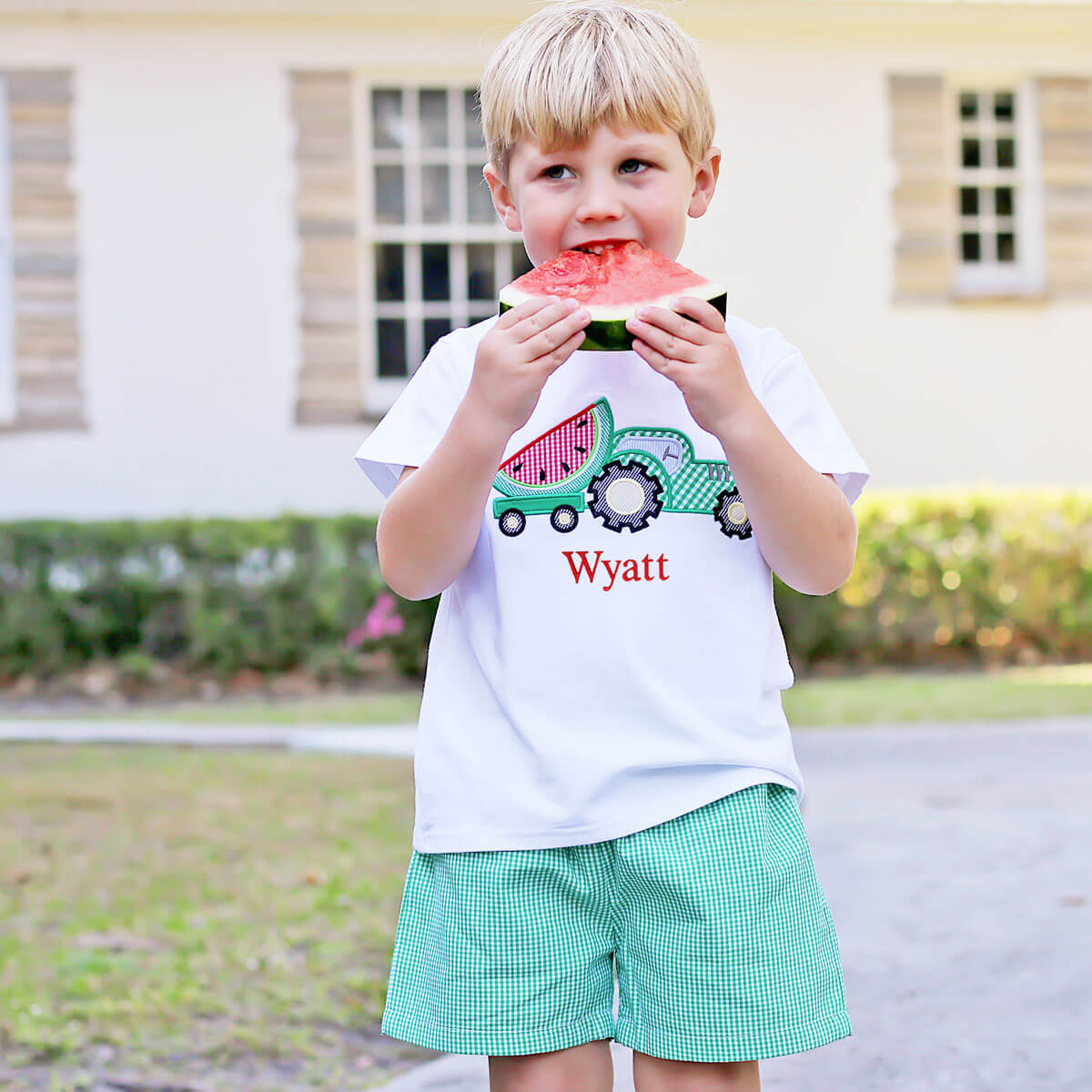 Sweet Watermelon Applique Green Gingham Short Set