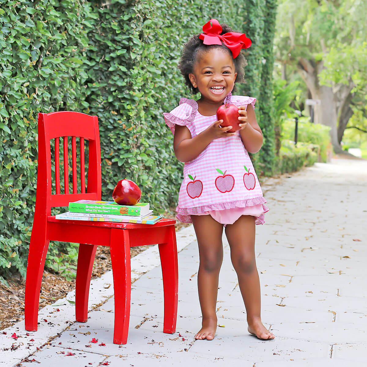 Apple Light Pink Gingham Popover Set