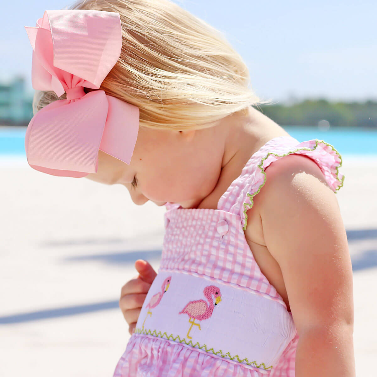 Smocked Flamingos Pink Check Bubble