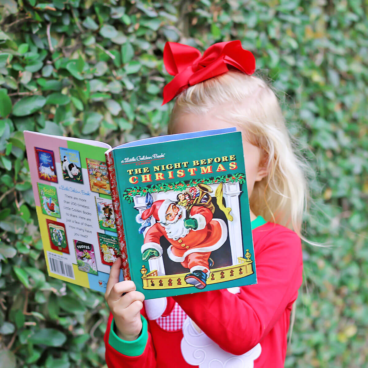 The Night Before Christmas Book