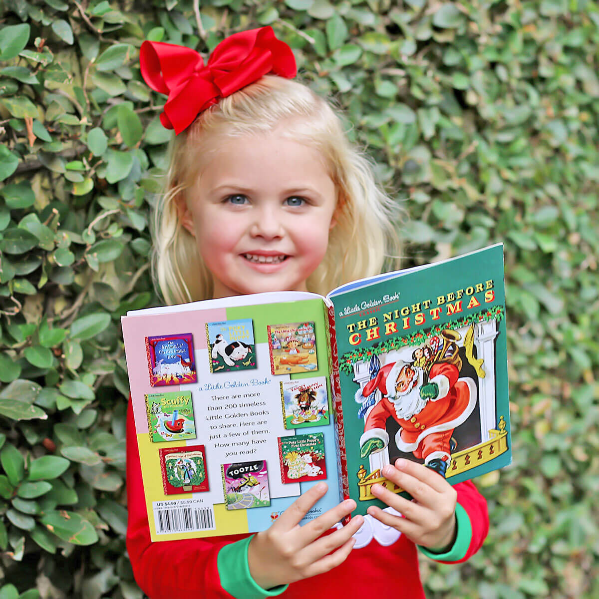 The Night Before Christmas Book