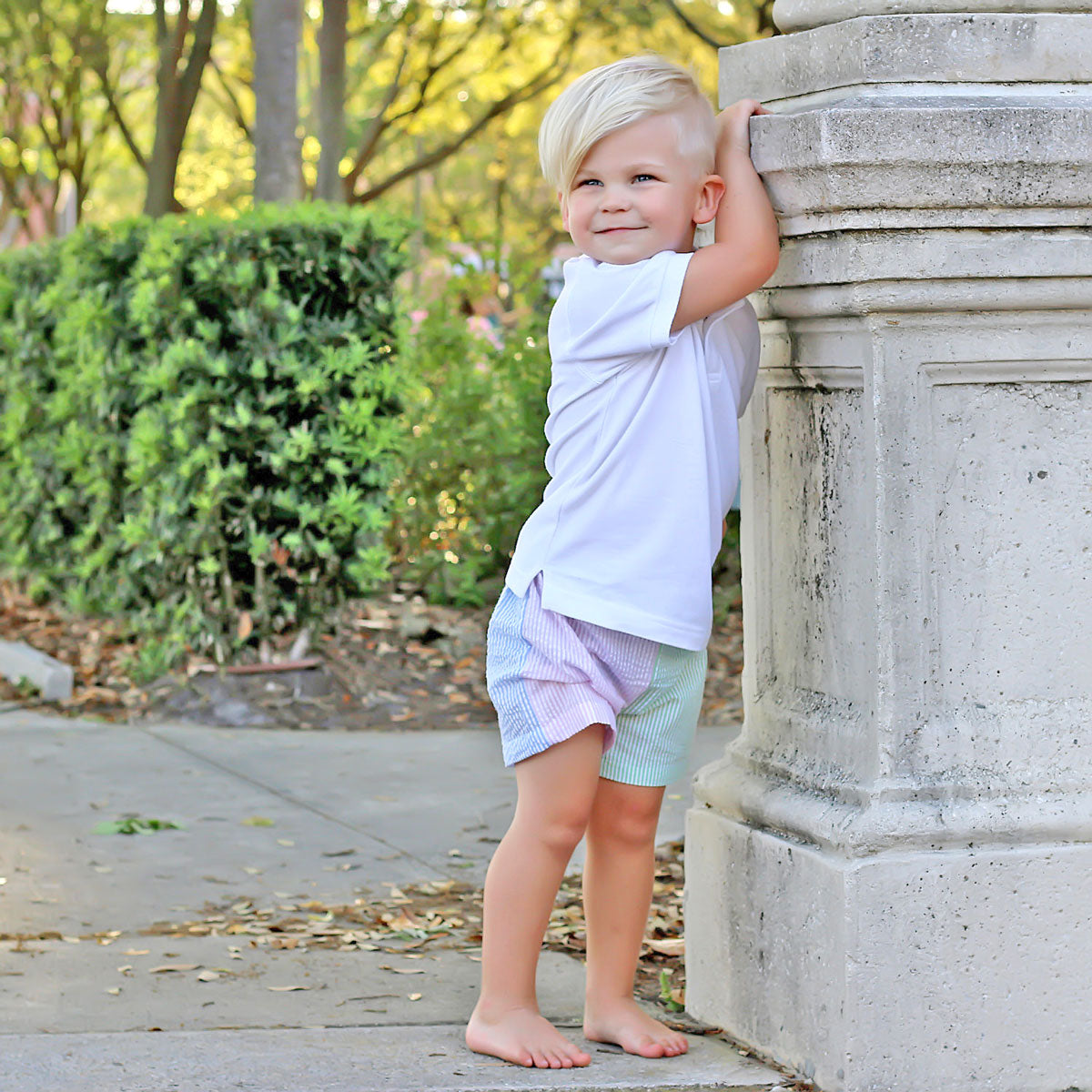 Multi Stripe Seersucker Shorts