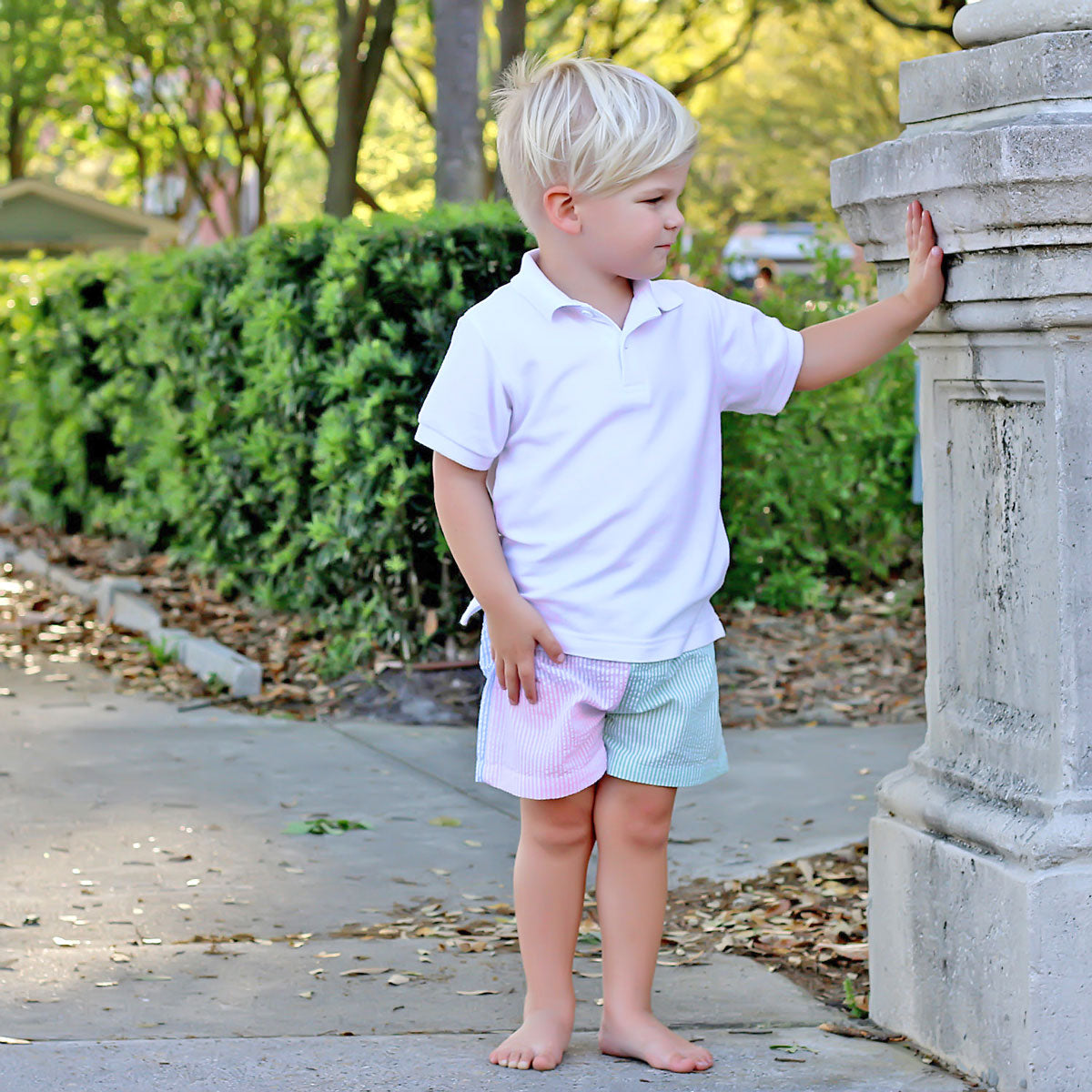 Multi Stripe Seersucker Shorts