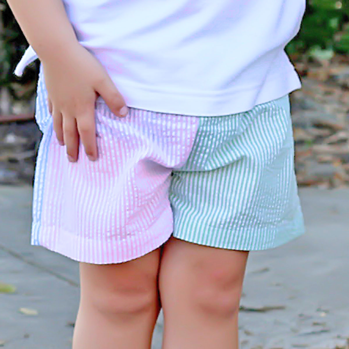 Multi Stripe Seersucker Shorts