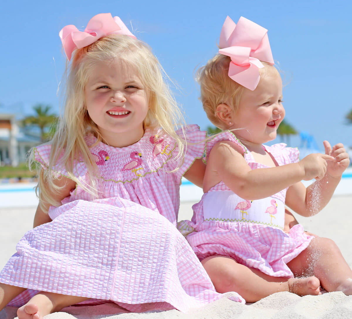 Smocked Flamingos Pink Check Bubble