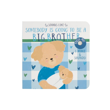 Big Brother - Big Sister Sound Book