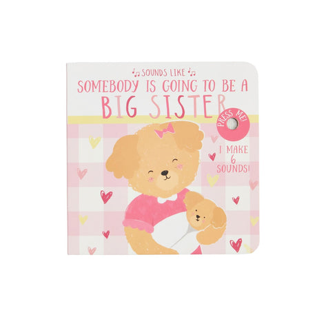 Big Brother - Big Sister Sound Book