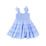 Light Blue Gingham Smocked Willow Dress