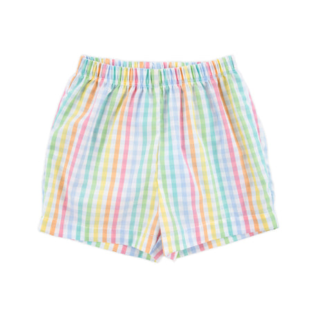 Colorful Multi Plaid Shorts