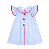 Adorable Apple Embroidered Blue Gingham Jane Dress